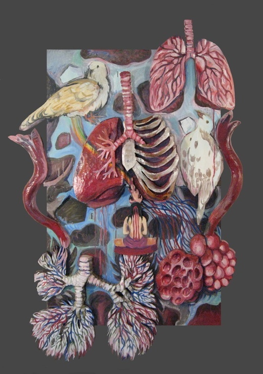 1_Lungs.jpg